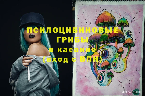эйфоретик Верея