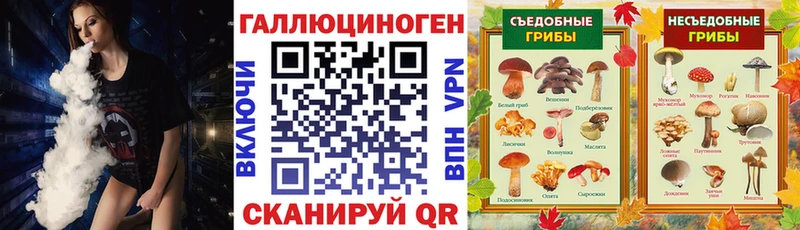 Галлюциногенные грибы Magic Shrooms  Купить где  Мензелинск 